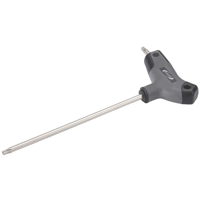 BBB SLEUTEL TORX T25 MM-1