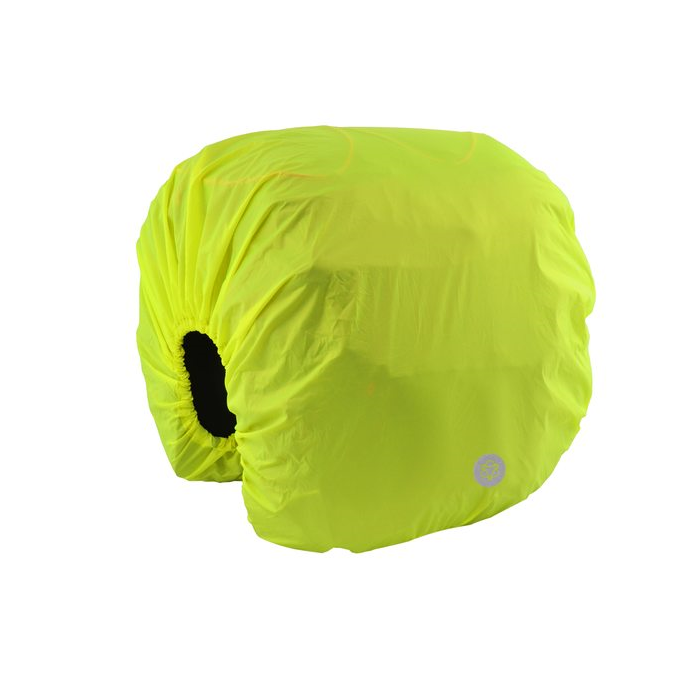 REGENHOES AGU ESSENTIALS-1