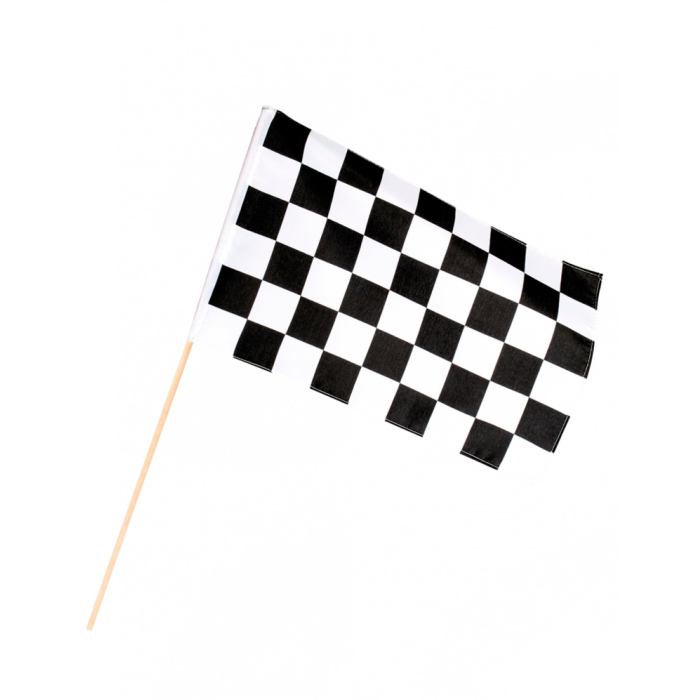 SEINGEVER VLAG AANKOMST GERUIT-1