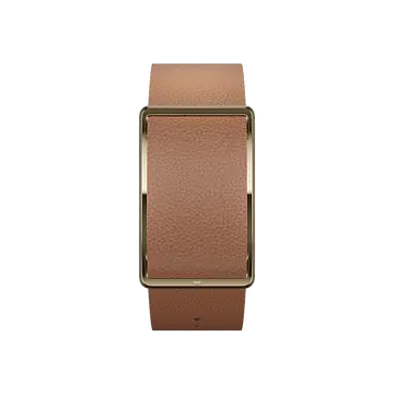 POLAR LOOP 2 PREMIUM LEDER BAND S-L